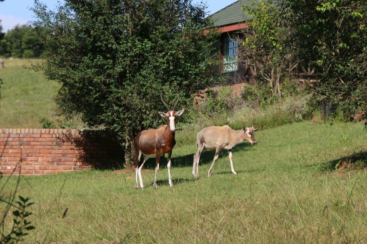 Malolotja Log Cabins Mbabane Eksteriør billede